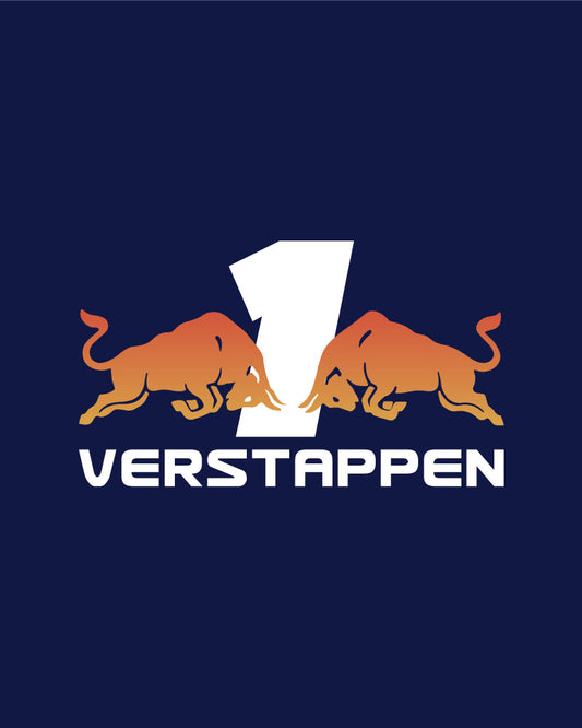 VERSTAPPEN 1 REDBULL T-SHIRT